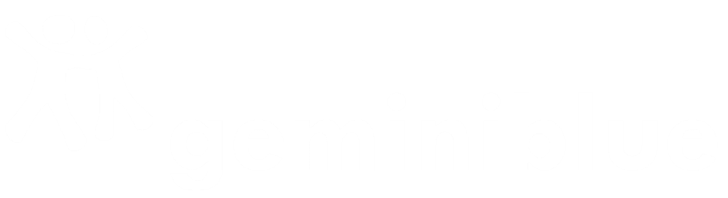 Gemini Blue Ltd